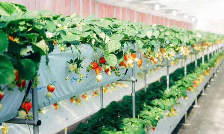 قفسه بندی گلخانه