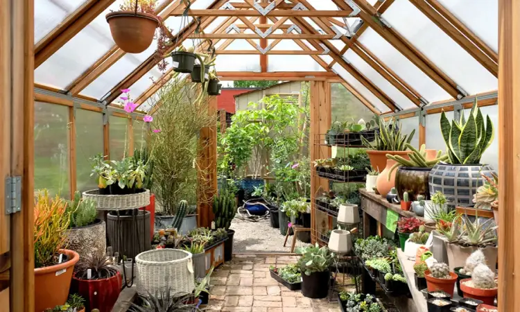 چیدمان گلخانه